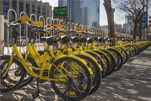 來了就不想走,歪果仁迷戀中國是因為