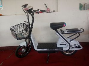 天津市薊縣薊邦電動車制造廠 專業(yè)電動自行車制造引領綠色出行