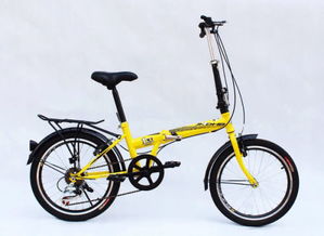 電動(dòng)自行車品牌與市場(chǎng)價(jià)格綜合分析